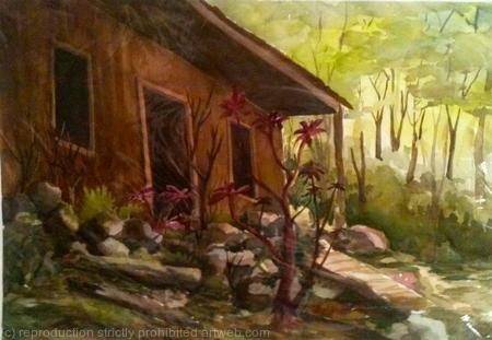 Old Moonshine Hide Out   