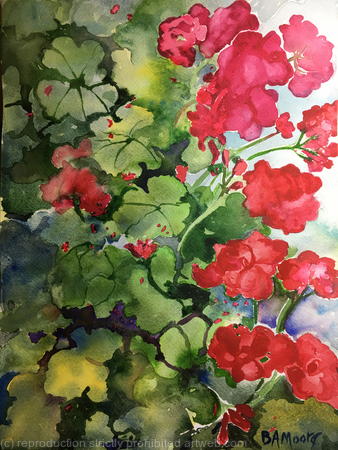 Geraniums Always Bloom