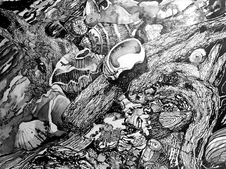 Drift Wood and Friends