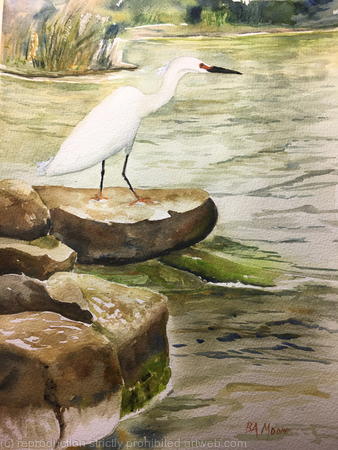 featured artwork