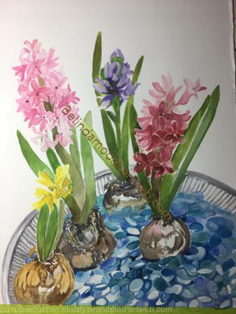 Hyacinths Memories 