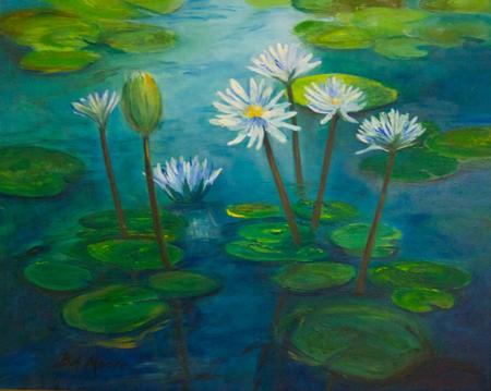 Water Lilies from Mexico
