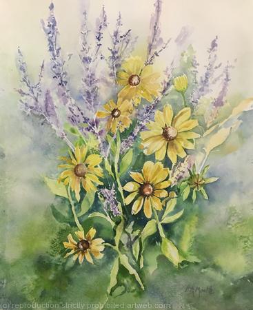 Sage and Black Eyed Susan