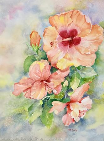 Hibiscus Sunrise