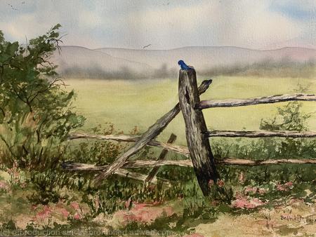 Blue bird in the Spring