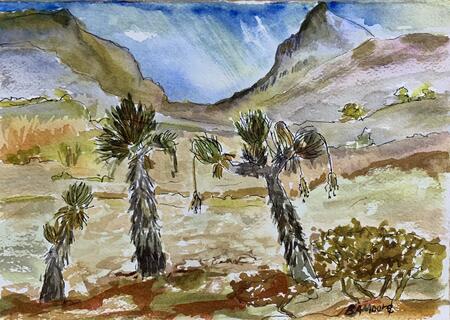 Mexico Thru My Car Window 2