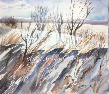 Crystal Clear Cold Day