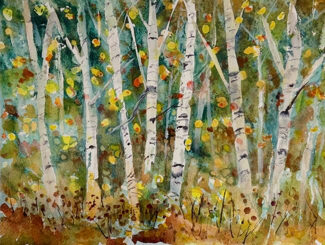 Aspen Fairy Lights