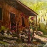 Old Moonshine Hide Out   