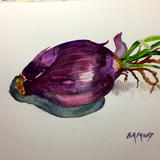 Purple Onion Lives
