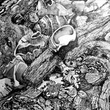 Drift Wood and Friends