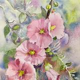 Holy Hollyhocks 