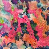 Coral Reef Explosion of Color
