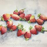 Mr. Green Thumb’s Strawberries 