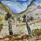 Mexico Thru My Car Window 2