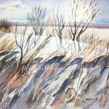 Crystal Clear Cold Day