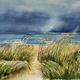 Storm Coming!