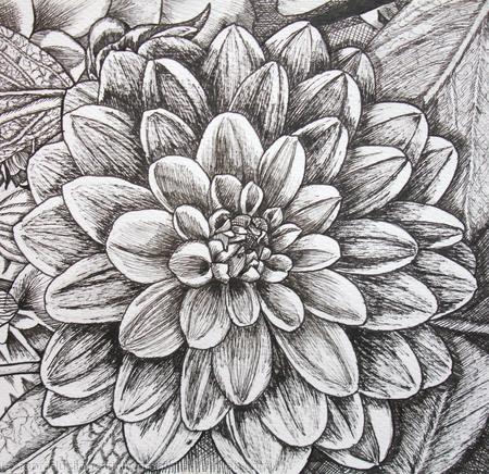 B/W Dahlia Flower 3