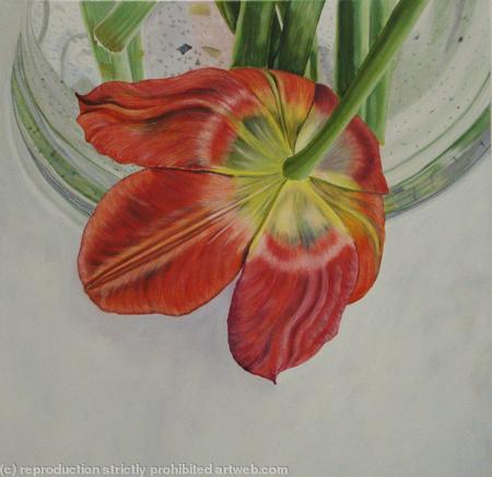 Tulipmania 2 - Colour