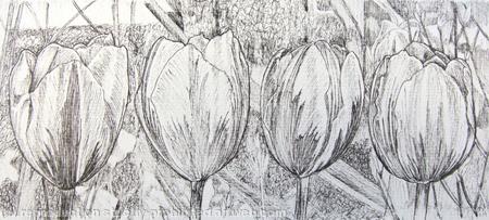 Tulipmania 99 - Pen