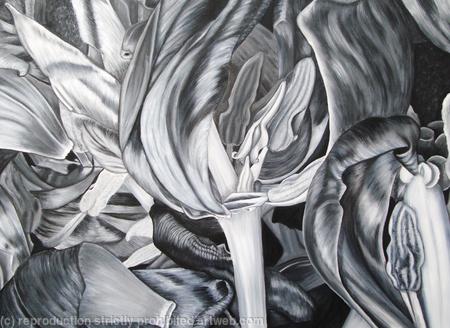 Tulipmania 5 - Black 