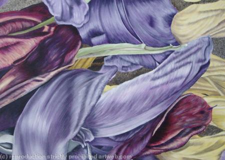 Tulipmania 4 - Colour