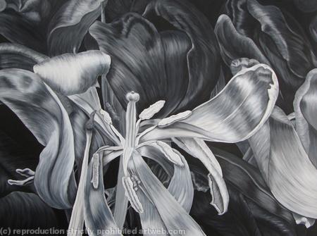 Tulipmania 16 - Black and White