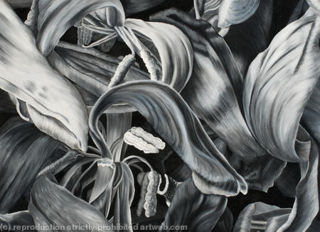 Tulipmania 17 - Black and White 