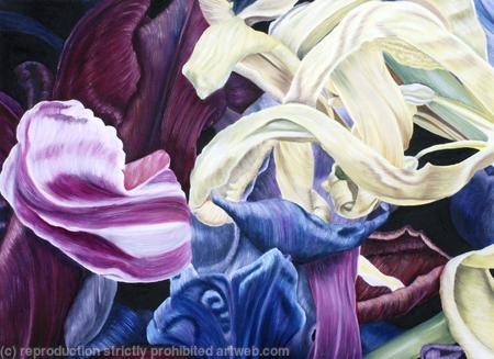 Tulipmania 18 - Colour