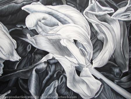 Tulipmania 19 - Black 