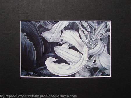 Tulipmania 11 - Print Black Mount