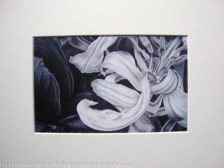 Tulipmania 11 - Print White Mount