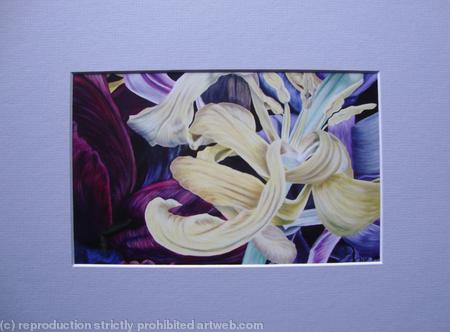 Tulipmania 11 - Print Blue Mount