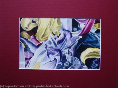 Tulipmania 14 - Print Burgandy Mount