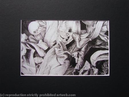Tulipmania 14 - Print Black Mount