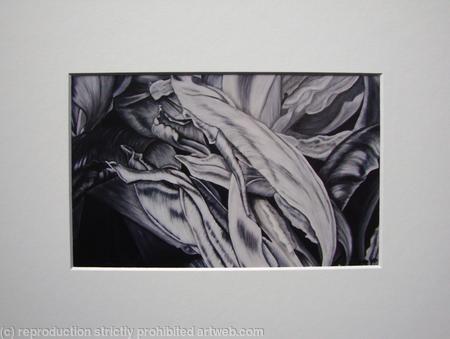 Tulipmania 6 - Print White Mount