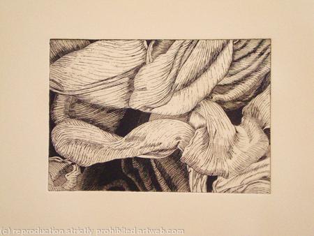 Tulipmania 12 - Etching #2