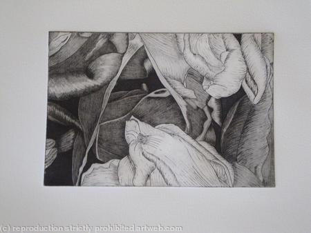 Tulipmania 19 - Etching #1