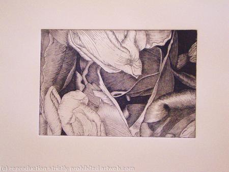 Tulipmania 19 - Etching #2