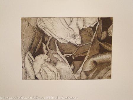 Tulipmania 19 - Etching #3