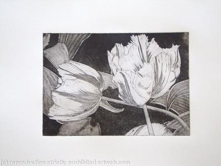 Tulipmania 3 - Etching #1