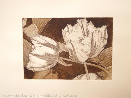 Tulipmania 3 - Etching #3