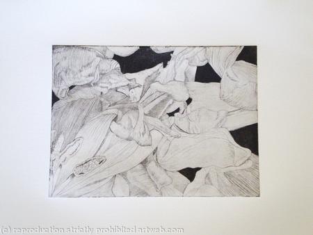 Tulipmania 14 - Etching #1