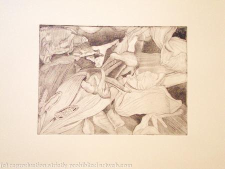 Tulipmania 14 - Etching #2
