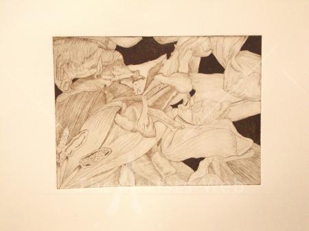 Tulipmania 14 - Etching #3