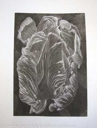 Tulipmania 20 - Etching