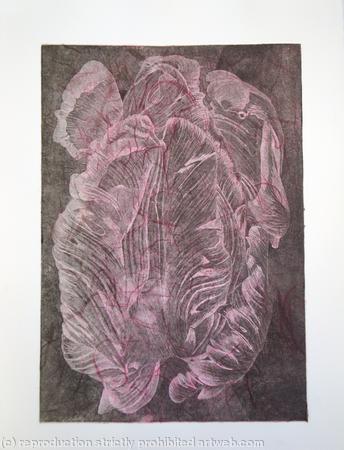 Tulipmania 20 - Etching - Pink