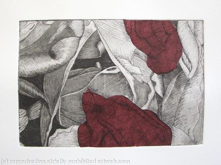 Tulipmania 19 - Etching - Burgandy