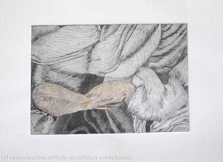 Tulipmania 12 - Etching - Peach