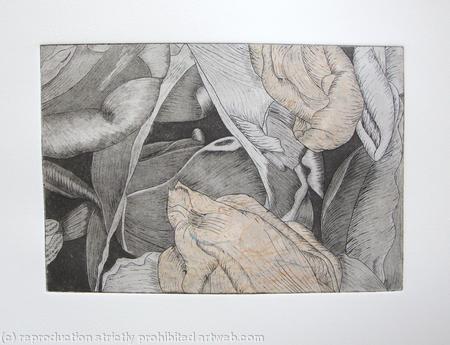 Tulipmania 19 - Etching - Peach